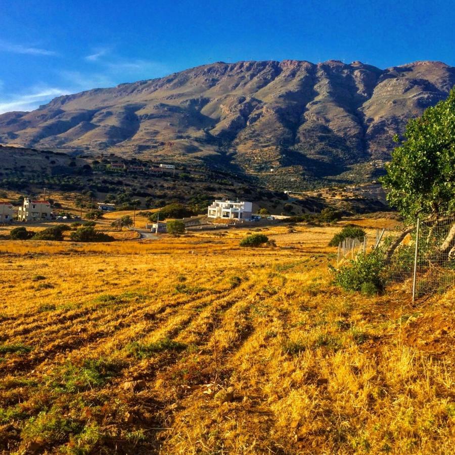 Villa Thalassa تريوبيترا المظهر الخارجي الصورة